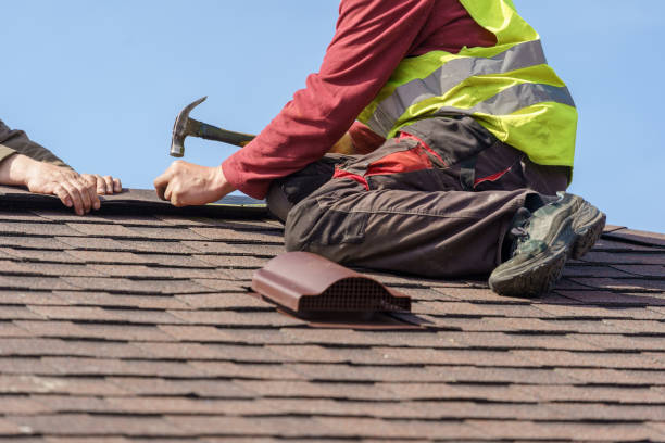 Best Shingle Roofing Installation  in Lockport Heights, LA