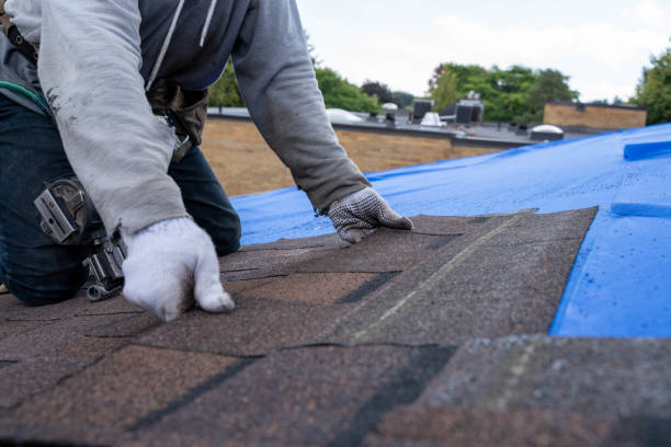 Best Roof Maintenance Services  in Lockport Heights, LA